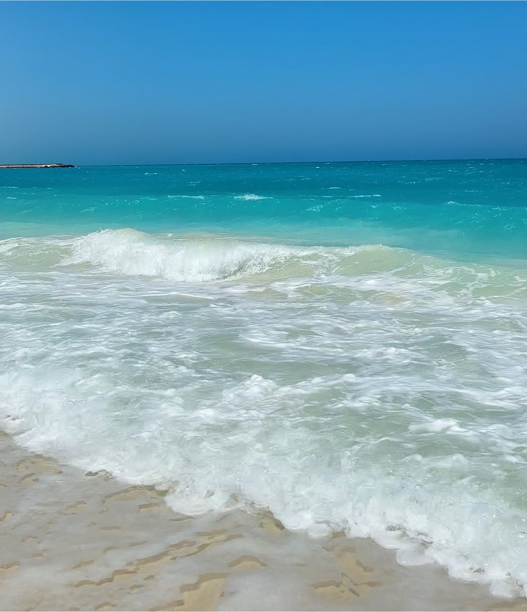 BhSamah's tweet photo. July
🐚🌊☀️🌈 https://t.co/ZYEnWJgEYi