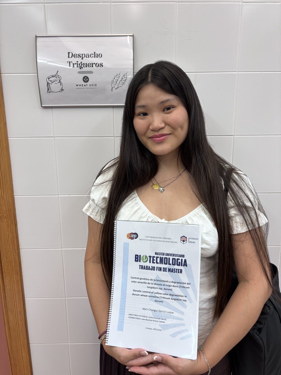 WheatUCO's tweet photo. 🎓Our student Abril Chungui García Luque has successfully defended her Master's Thesis, entitled "Genetic Control of Semolina Yellow Color Biosynthesis and Degradation in Durum Wheat", completing her https://t.co/44Jd4XXYVh. in Biotechnology at the University of Córdoba. https://t.co/066SCuuy0q