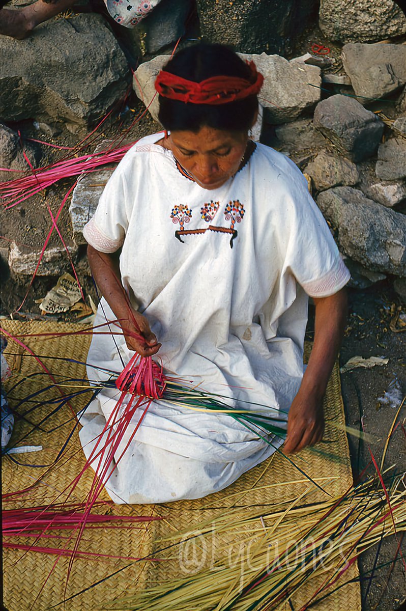 Lycaones's tweet photo. Mujer indígena de Oaxaca tejiendo palma. 1951.

El huipil bordado es característico de Santa Catarina Quioquitani (Sierra Sur). El tejido de palma, aunque más asociado a la Mixteca, también se practica en diversas comunidades oaxaqueñas. 

#CulturaIndígena #HistoriaMéxico #OrgulloCultural #Oaxaca #Artesanos