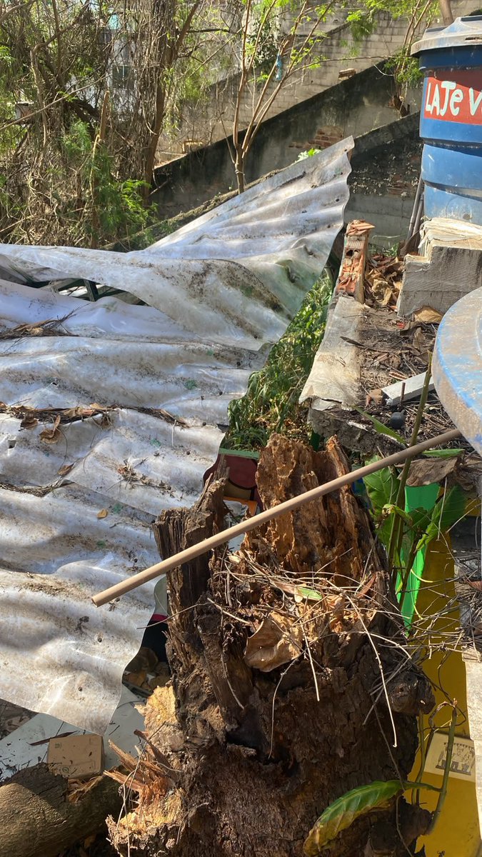 AMEOSANTOAMARO's tweet photo. Situação atual da comunidade Santo Amaro, no catete pós ventania. Morador fazendo trabalho que deveria ser da @Prefeitura_Rio, surreal...pra fazer favelado de palanque social são bons, quando precisamos recebemos descaso! #morrosantoamaro https://t.co/9m4dbl8uLm