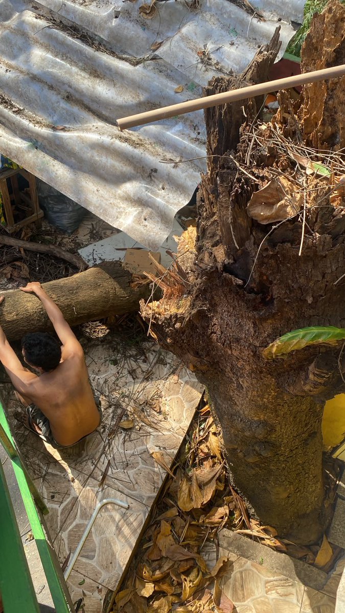 AMEOSANTOAMARO's tweet photo. Situação atual da comunidade Santo Amaro, no catete pós ventania. Morador fazendo trabalho que deveria ser da @Prefeitura_Rio, surreal...pra fazer favelado de palanque social são bons, quando precisamos recebemos descaso! #morrosantoamaro https://t.co/9m4dbl8uLm