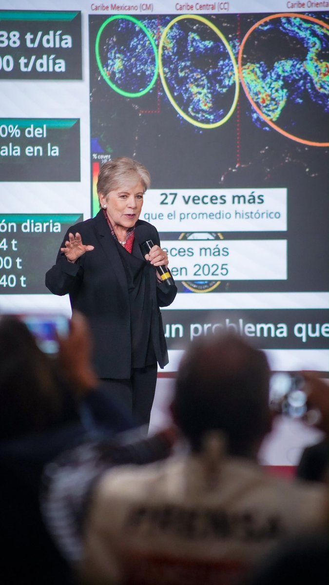 SEMARNAT_mx's tweet photo. En la #MañaneraDelPueblo, encabezada por la presidenta @Claudiashein, se presentó la Estrategia Integral de Atención y Manejo del Sargazo en el Caribe Mexicano.

En la presentación participaron la secretaria de Medio Ambiente, @aliciabarcena; la gobernadora @MaraLezama; el @AlmiranteSrio, titular de la @SEMAR_mx; la secretaria de @SECTUR_mx, @josefinarodzam; el director general de @FonaturMX, @Sebas_RM; la directora de Desarrollo Tecnológico de @Secihti_Mx, Edith Calixto; así como representantes del sector empresarial.

Entre las principales acciones destacan:

🔹 El monitoreo de más de 140 playas mediante imágenes de 10 satélites y pronósticos diarios para anticipar los puntos de arribo.

🔹 Una capacidad actual de recolección de hasta 1,227 toneladas diarias en el mar y 950 toneladas en playas.

🔹 Una inversión superior a 2 mil millones de pesos para ampliar la infraestructura, adquirir embarcaciones y sargaceras, e instalar cerca de 50 kilómetros de barreras de contención.

🔹 El fortalecimiento de las prácticas para separar el sargazo de la arena, recuperar material para las dunas y evitar la erosión de las playas.

♻️ La secretaria de Medio Ambiente, @aliciabarcena, resaltó que el aprovechamiento del sargazo bajo un modelo de #EconomíaCircular está sentando las bases de una nueva industria sustentable. Actualmente, México cuenta con 198 iniciativas, 39 empresas que desarrollan productos y 11 proyectos con potencial de escalamiento industrial, que avanzan en la transformación de esta macroalga en biofertilizantes, biogás, materiales de construcción, calzado, lápices y otros productos.

Como parte de estos esfuerzos se trabaja en la evaluación y certificación de nuevos productos, así como en el Polo de Desarrollo de Economía Circular para el Bienestar, #PODECIBI.

🌎 Además, la titular de Medio Ambiente, anunció que los días 1 y 2 de octubre Cancún será sede de un encuentro internacional con países del Caribe e invitados de Brasil y Japón, que reunirá a gobiernos, empresas y organismos de financiamiento para sumar tecnología, conocimiento, inversión y soluciones regionales.

La estrategia del @GobiernoMX busca atender el sargazo desde su origen, proteger los ecosistemas del Caribe y convertir este desafío ambiental en una oportunidad para impulsar la economía circular y el desarrollo sostenible.

#SomosMedioAmbiente