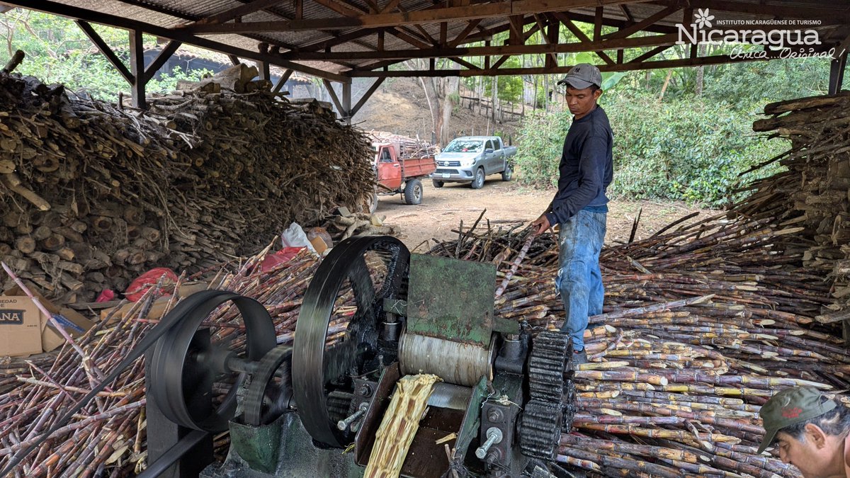InturNvaSegovia's tweet photo. Tradiciones que se llevan en el alma, raíces que nos unen y costumbres que nos llenan de orgullo.

¡Orgullosamente segovianos! 💚

#NicaraguaÚnicaOriginal 
#NicaraguaFascinanteIrresistible https://t.co/HgZBc3QmTP