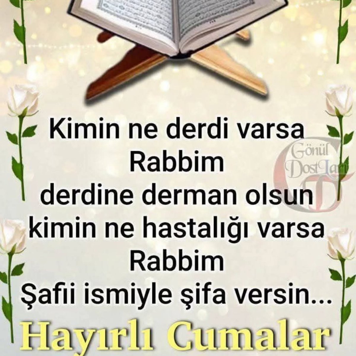 OktaySncr's tweet photo. https://t.co/bSkLanSZZ3