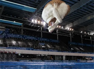 kattyanZ's tweet photo. A shrimp cat is going viral af on Reddit this morning and its the cutest thing ever

Many users are also posting memes of the shrimp cat in the comments 🤣

We've had ramen cat today, gun cat, bread cat and many more

But we've never had a shrimp meme go viral 

Check it out 
https://t.co/ZR4lI6gXfG