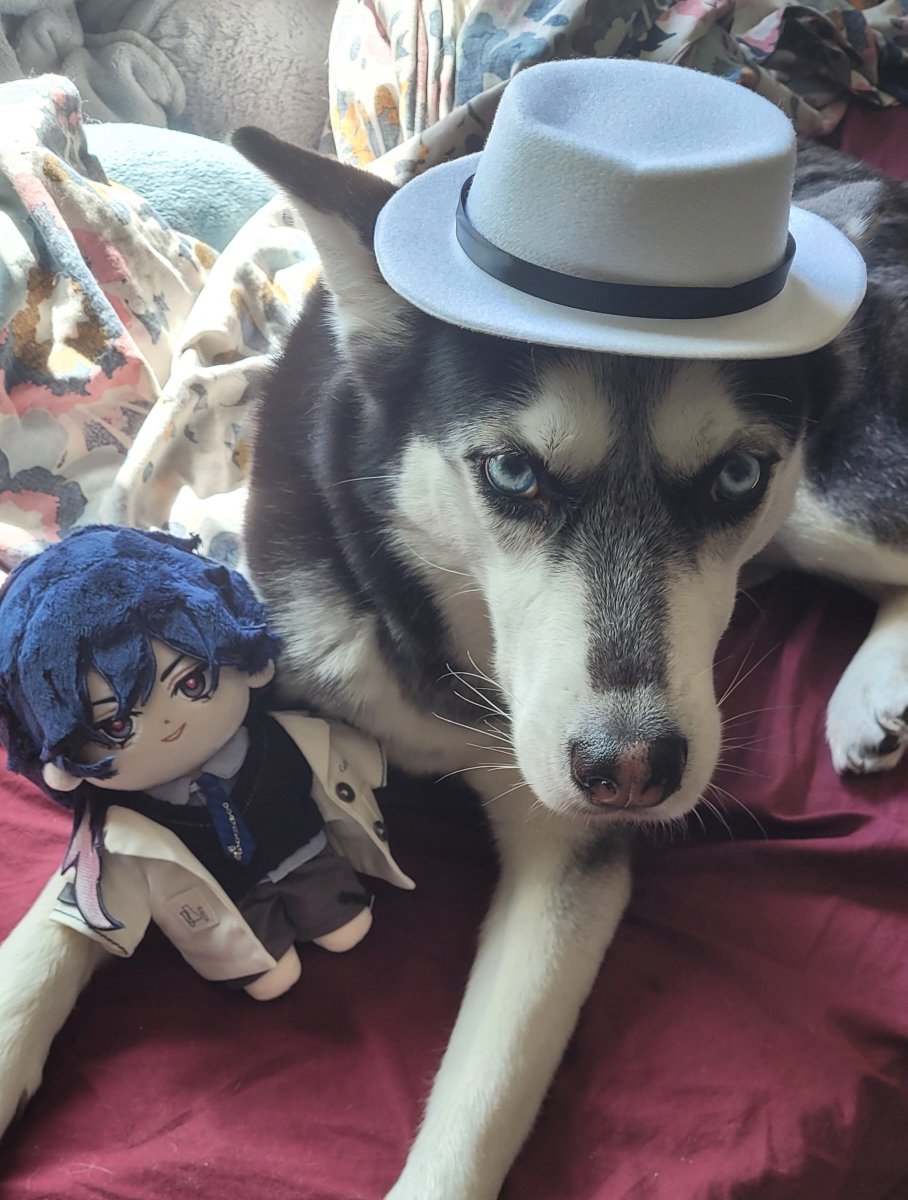 ashveil67's tweet photo. // my ashveil plush came in 🥹 https://t.co/r0KDzRUaLt