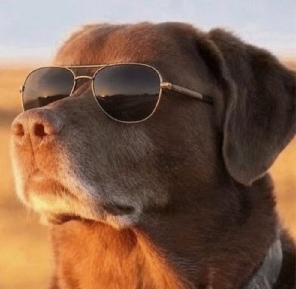 J_Simms_'s tweet photo. @Pumpfun @TheMisterTurtle All you gotta do is $relax it’s really that easy https://t.co/zdZSRVp9Ta