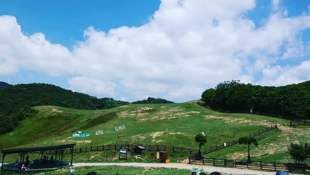 youmtto's tweet photo. 오늘은 유모차!
정말 많이 고민하다가 선택한 오이스터4
직접 사용해보니 만족도가 정말 높음
✔️ 크고 안정적인 바퀴로 핸들링이 부드러워 한 손으로도 밀기 편하고
✔️ 시트가 편안해서 아기도 잘 타고
✔️ 하이포지션이 있어서 키가 큰 우리 엄마아빠에게 딱 알맞은 높이에… https://t.co/opjNxXF3hG
