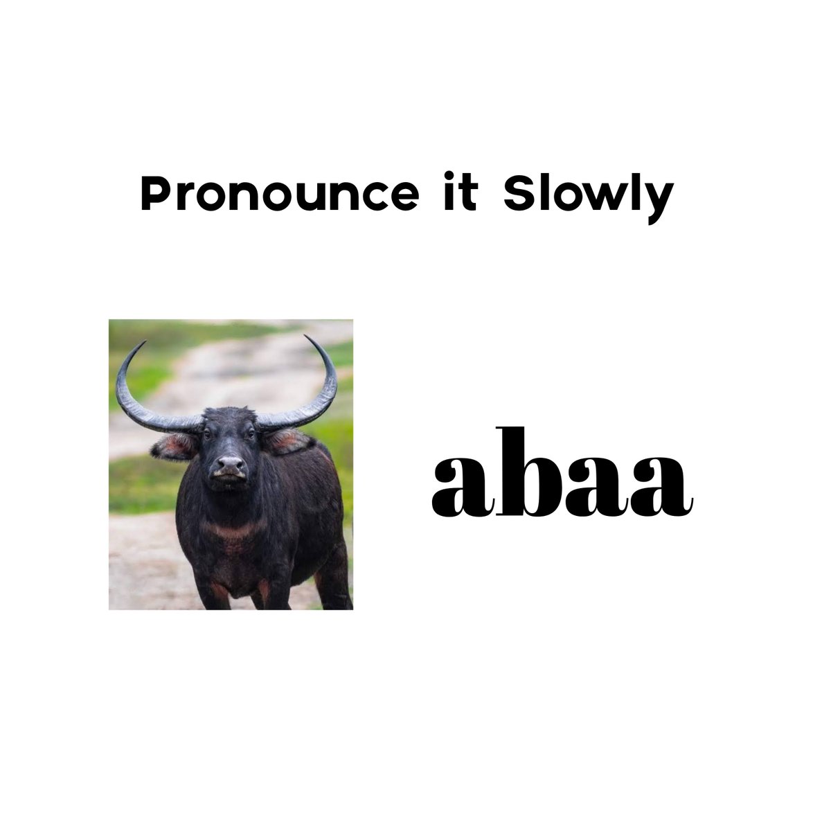 MuftiOfTech's tweet photo. Pronounce it slowly and guess the Nigerian legend.

Level: MEDIUM https://t.co/GpldiVphPn