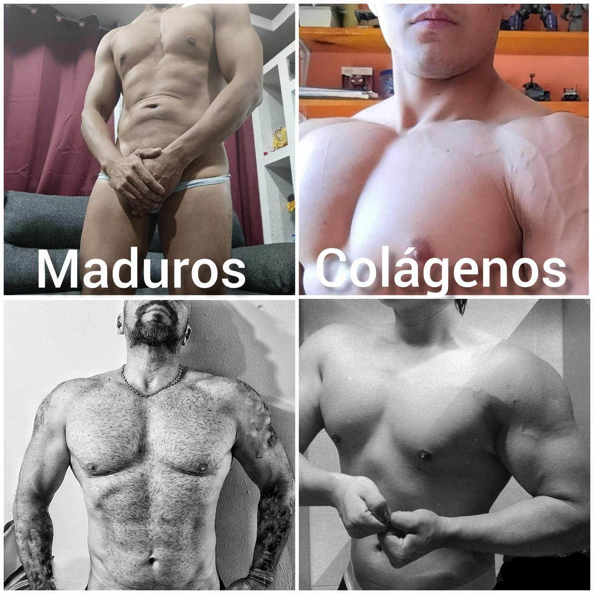 AlFaHotwife's tweet photo. ALFA DINÁMICA: maduros vs colágenos 

Hombres: suban aquí su foto, digan su edad y denle ❤️🔄 a esta publicación 

🚫NO MOSTRAR EL PENE🚫

Los que reciben más ❤️ son los que salen en la portada

Maduros: @AlbertoNauc @lobito_feroXXX Colágenos: @Zc_Caballero @Straffoncdmx https://t.co/HXHe3vCtJL