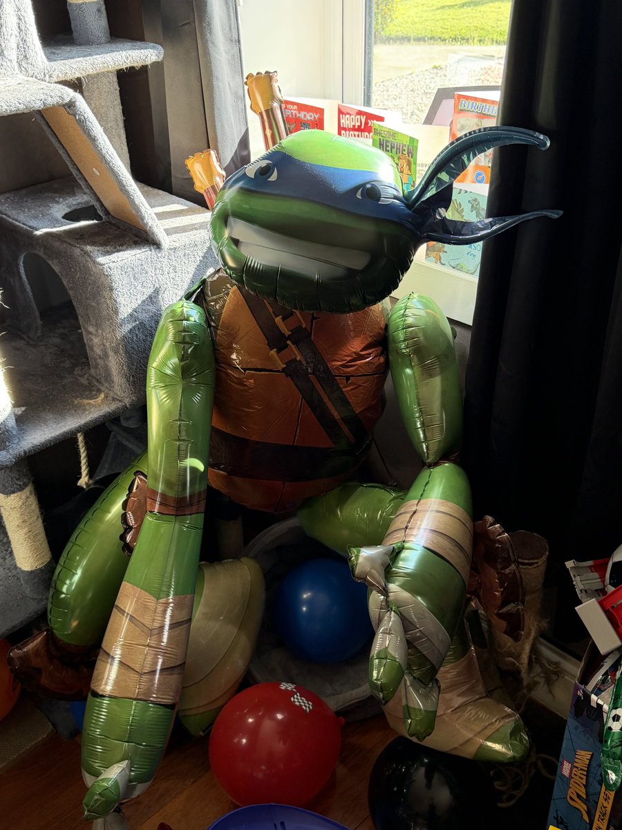 DyIbog's tweet photo. bro got a big ass ninja turtle https://t.co/V6hLsqb9ba