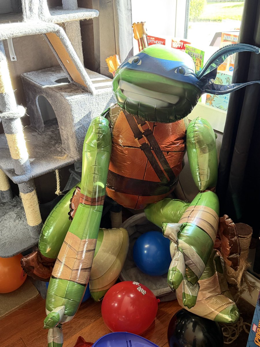 DyIbog's tweet photo. bro got a big ass ninja turtle https://t.co/V6hLsqb9ba