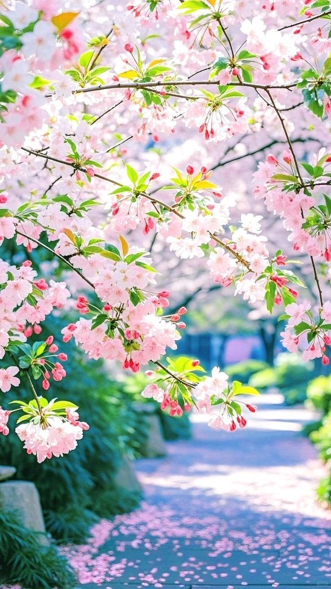 aestheticspost_'s tweet photo. https://t.co/0jvquM2i4d