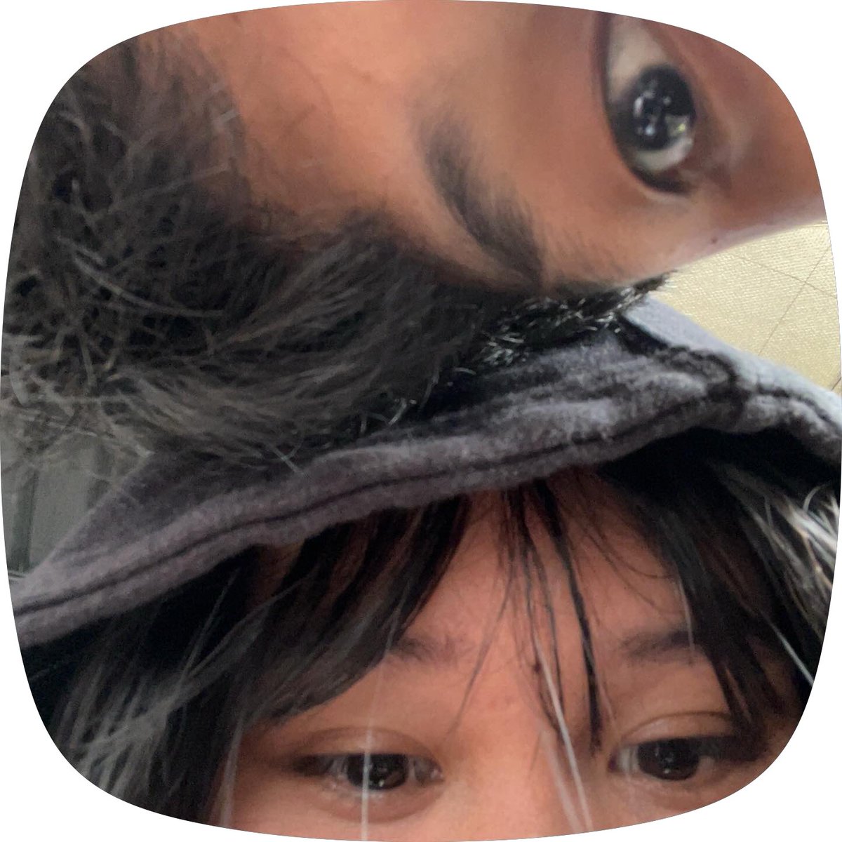 zenoodle's tweet photo. https://t.co/Gsj7FoOUmQ
