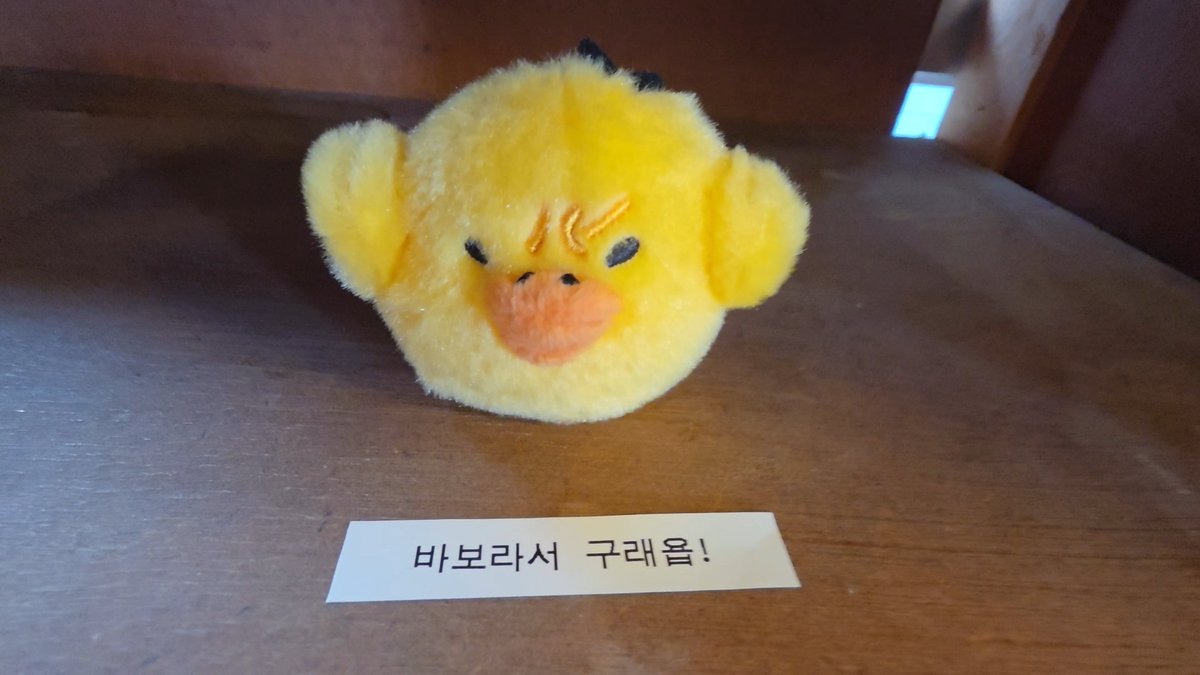 zzang2_3's tweet photo. 생카갔을때 돼병이들보고너무귀여워서소리지름 왕코꾸멍돼지병아리야ㅏ사랑해 https://t.co/zC2at9BXGK