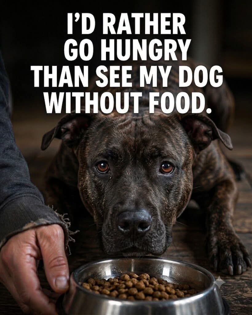 Joseph Mitchell 🙏🇺🇸🇺🇸🐕🥩🏍 tweet media