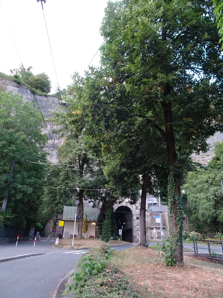 01gadr26's tweet photo. 祝祭大劇場脇のトンネル、今回初めてくぐってみた。
車道とは別に人と自転車用の細い道があるのだった https://t.co/GdZZrtHQdD