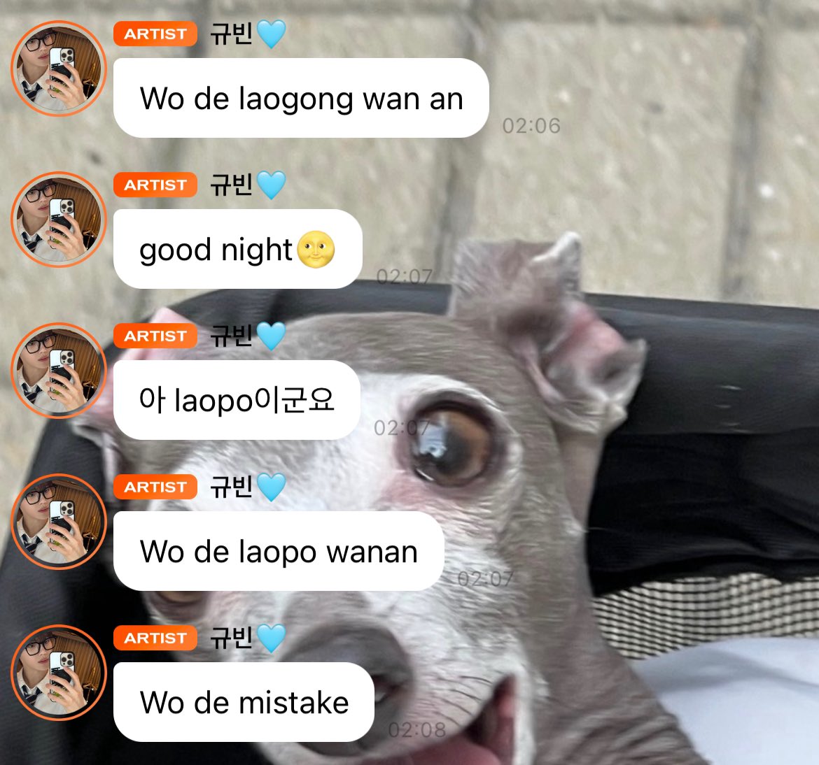 gyubriks's tweet photo. 260731

wo de laogong wan an (good night my husband in chn)
good night🌝
ah it’s laopo (wife in chn)
good night my wife (chn)
wo de (my in chn) mistake 

help 😭 https://t.co/Kfaz5GLqvS