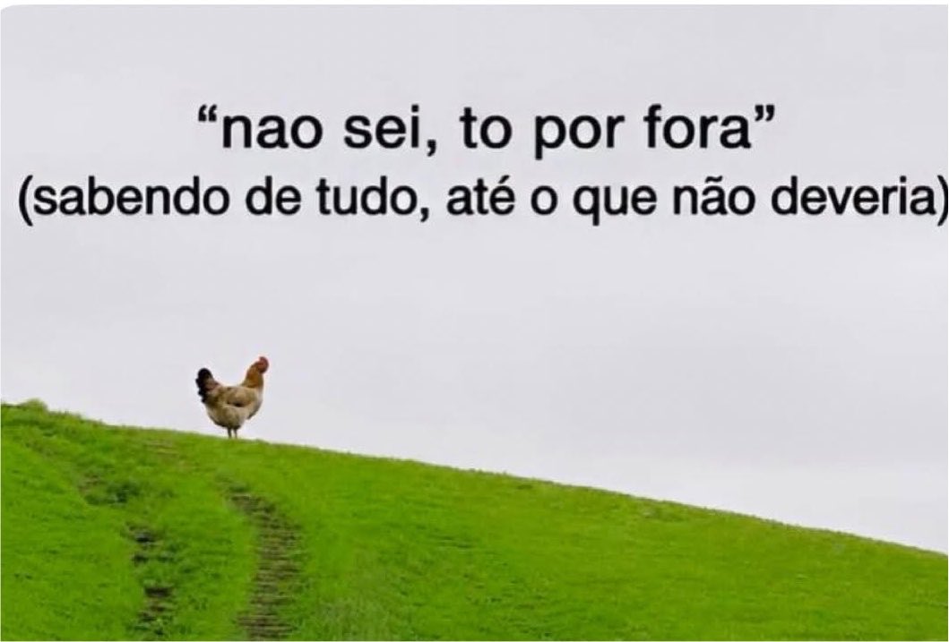 paginalixo1's tweet photo. https://t.co/bt7K7lE0Op