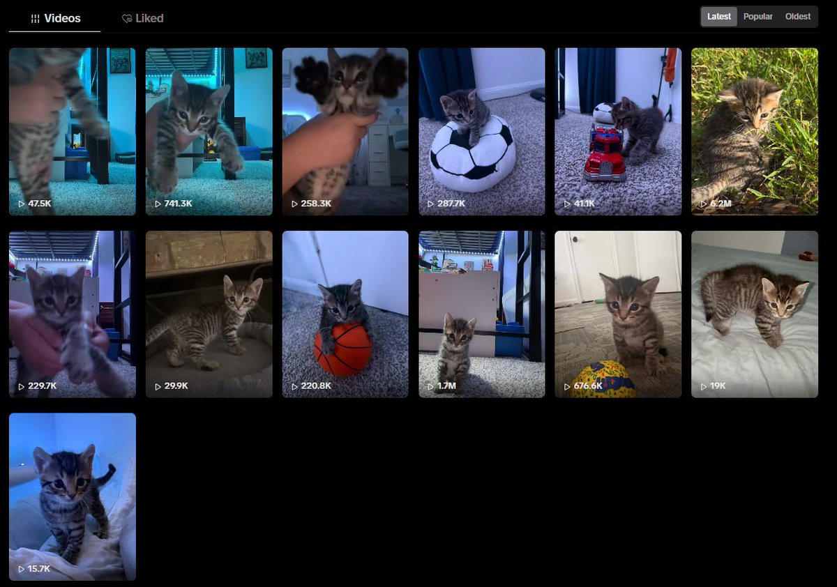 genyrational's tweet photo. THIS HAS TO BE THE MOST VIRAL CAT RIGHT NOW, 

This little cat named 'Scooby' has only just started posting with his owner, and has gained MILLIONS of views and likes across Tiktok and Instagram 

The numbers are insane, millions of views per video with not many videos and a video on instagram with over 10 MILLION views in a couple of days 

: https://t.co/hE8vsGZrM9

: https://t.co/JNp2Lb2nP9

Scooby is becoming the world's biggest sensation right now 

WHAT IS INSANE, IS HIS BIO ON INSTAGRAM

'World's Fastest Runner'

You cannot make it up, this is literally the best animal narrative we've seen and we've been SENDING cat coins 

I've also reached out to the creator, and will onboard with supply when I get a response!

$Scooby - World's Fastest Runner
