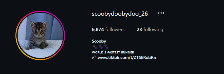 genyrational's tweet photo. THIS HAS TO BE THE MOST VIRAL CAT RIGHT NOW, 

This little cat named 'Scooby' has only just started posting with his owner, and has gained MILLIONS of views and likes across Tiktok and Instagram 

The numbers are insane, millions of views per video with not many videos and a video on instagram with over 10 MILLION views in a couple of days 

: https://t.co/hE8vsGZrM9

: https://t.co/JNp2Lb2nP9

Scooby is becoming the world's biggest sensation right now 

WHAT IS INSANE, IS HIS BIO ON INSTAGRAM

'World's Fastest Runner'

You cannot make it up, this is literally the best animal narrative we've seen and we've been SENDING cat coins 

I've also reached out to the creator, and will onboard with supply when I get a response!

$Scooby - World's Fastest Runner