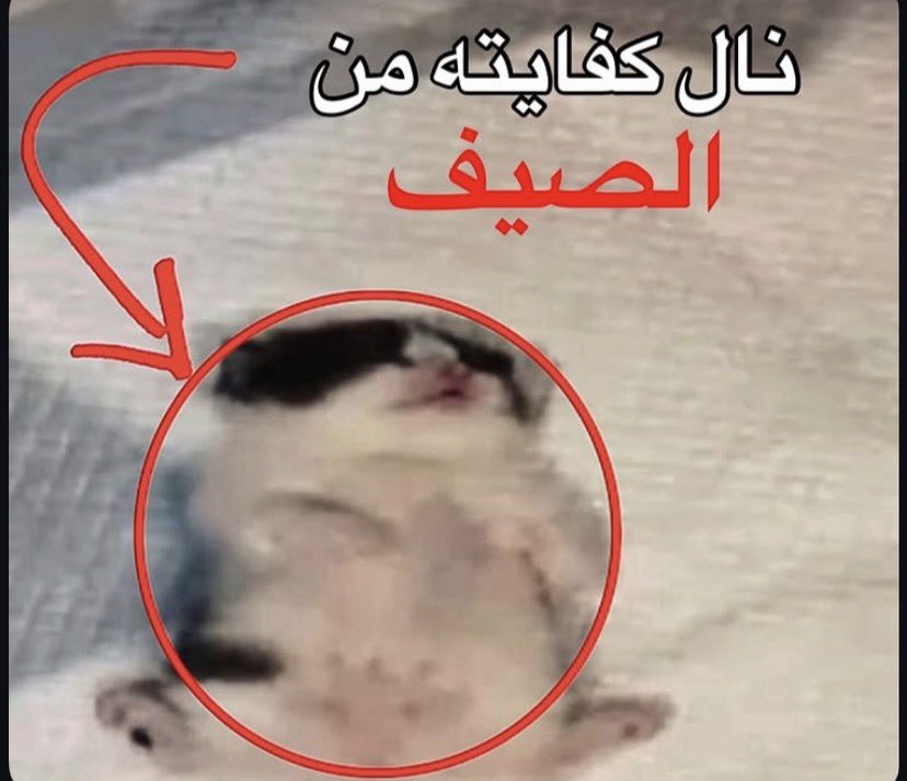 عبدالله🐱 tweet media