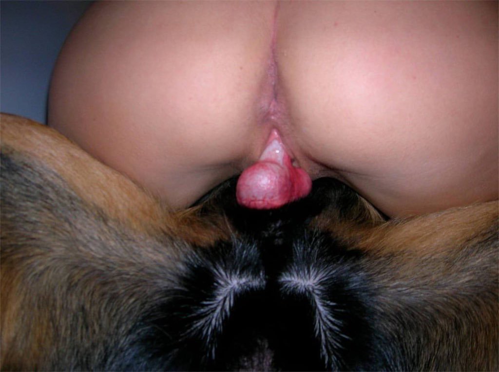 AlisonKnotty977's tweet photo. Zoo model who gives pleasure to her dogs because she likes it so much dog! Dm via  Telegram
https://t.co/YX4ZKvYHJ6…

… #zoosarevalid #beastiality #dogknot #zooprideisvalid #zoophile #antizoo #antizoophileantizoo #k9girl #zoopride #zoophilepride #zoopositivity #Bestiality https://t.co/pwUgz6X0Ah