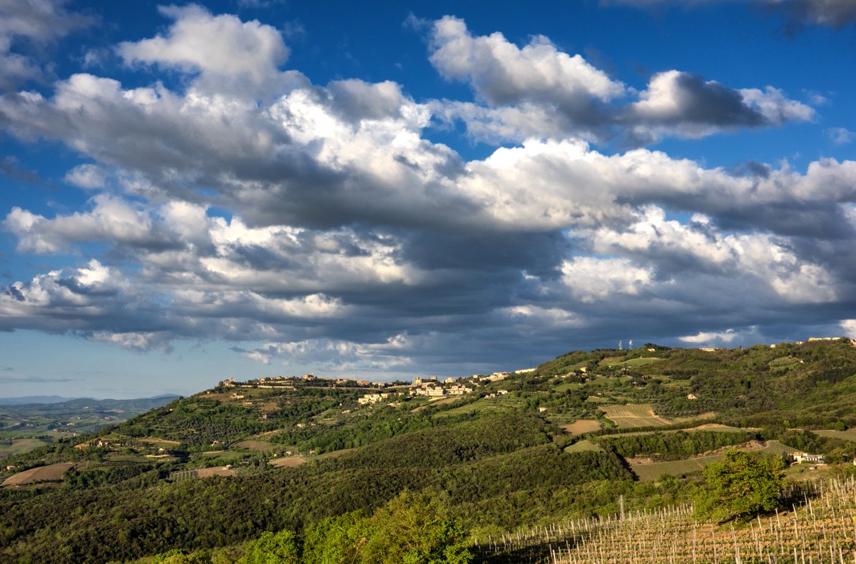 montalcinonews's tweet photo. Dal 22 luglio (fino al 18 agosto) prosegue la #HarvardSummerSchool n. 21, organizzata da #HarvardUniversity insieme ad #UniversitàdiSiena, nelle aule e sul territorio, con visite tra #ValdOrcia, #CreteSenesi e #Montalcino ed eventi artistici e culturali
https://t.co/VRFMl2HOPx https://t.co/Mp4aXJuU6v