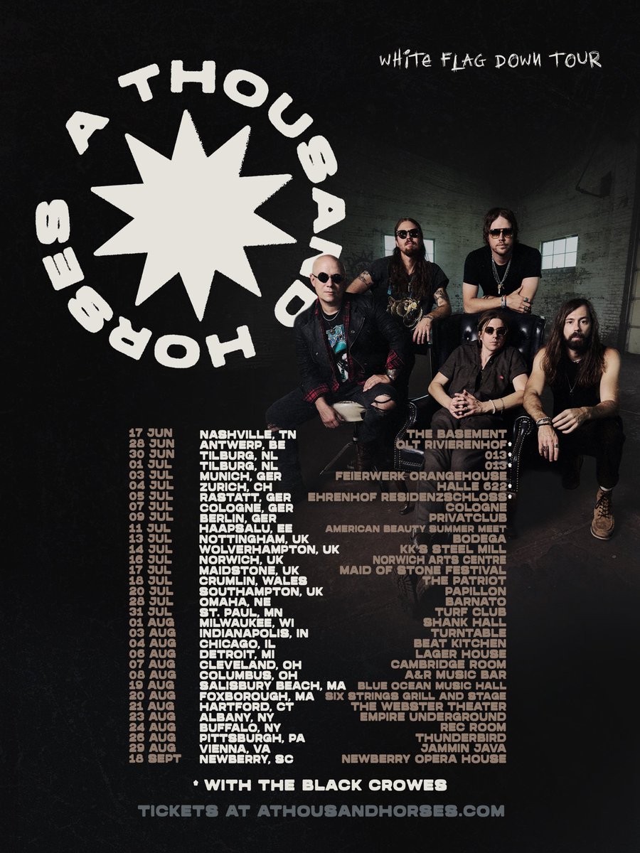 athousandhorses tweet picture