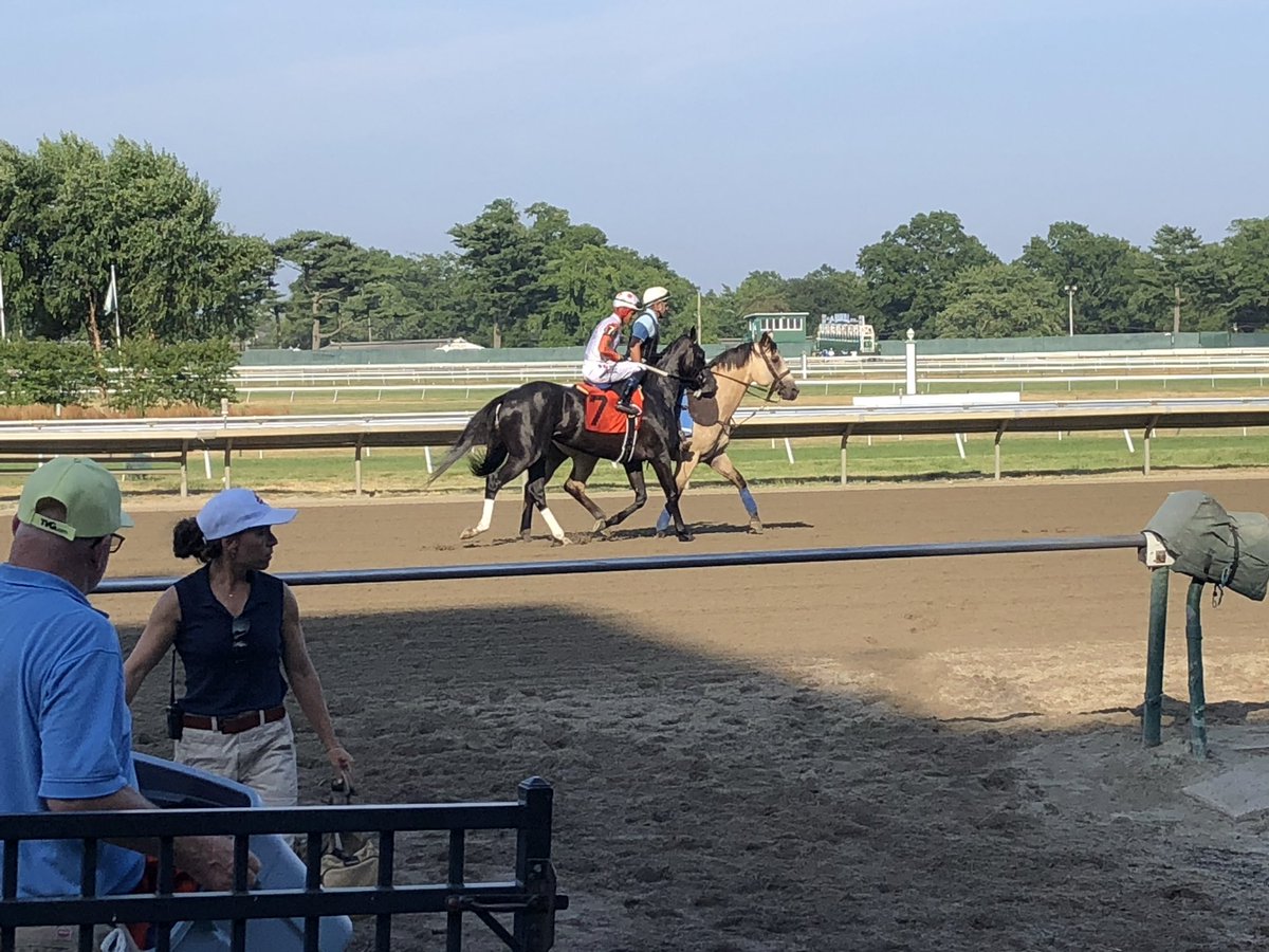 RayColevas🐎🐎 tweet media