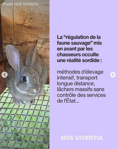 ChasseAbolition's tweet photo. La fameuse #régulation ....
https://t.co/mFrBLwIzod
#chasse #mafia #chasseurs #plaisirdetuer #sadisme #france #société #animaux https://t.co/r0biJAQEEH