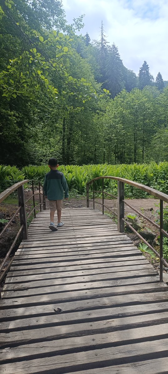 Feyzaagn's tweet photo. 🍃 https://t.co/zJnxVDScoJ