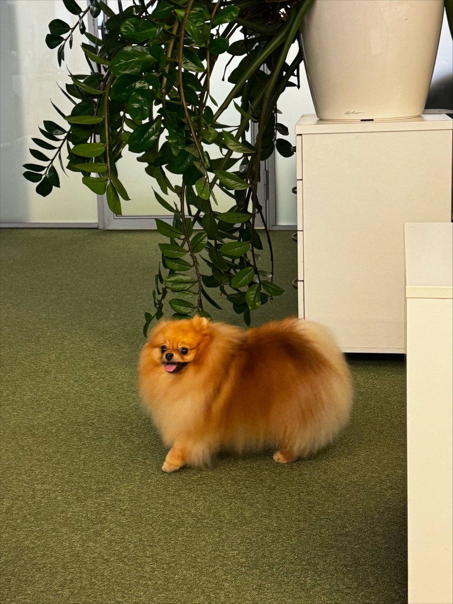 liveisboring's tweet photo. будни рабочие будни https://t.co/r1Z8DJfdpP