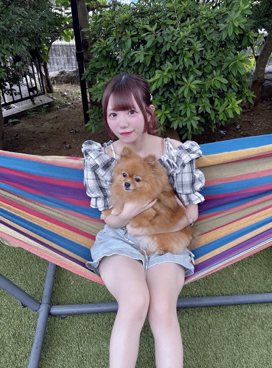 Kii__IMMM's tweet photo. 犬と猫どっち派？🐶🐱 https://t.co/NiSsRdgX5y