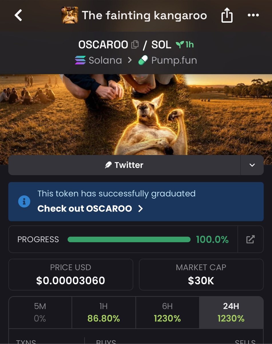 SolGemHunter tweet media