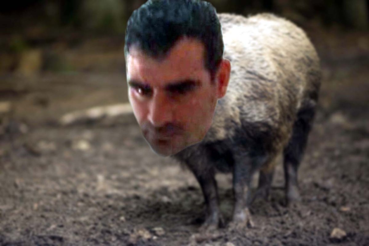 Ivan_meetsGIJoe's tweet photo. Ecco di nuovo #GiuseppeMannarino, alias Chiunquevagrrr, che continua a stalkerizzarmi con uno dei suoi 1000profili. Avendo il QI di un #animale, crede di avere i miei dati personali (e foto)😂ma l'ha preso al kulo. Nel frattempo segna-la-telo😇 https://t.co/ScbQ0UtHpp