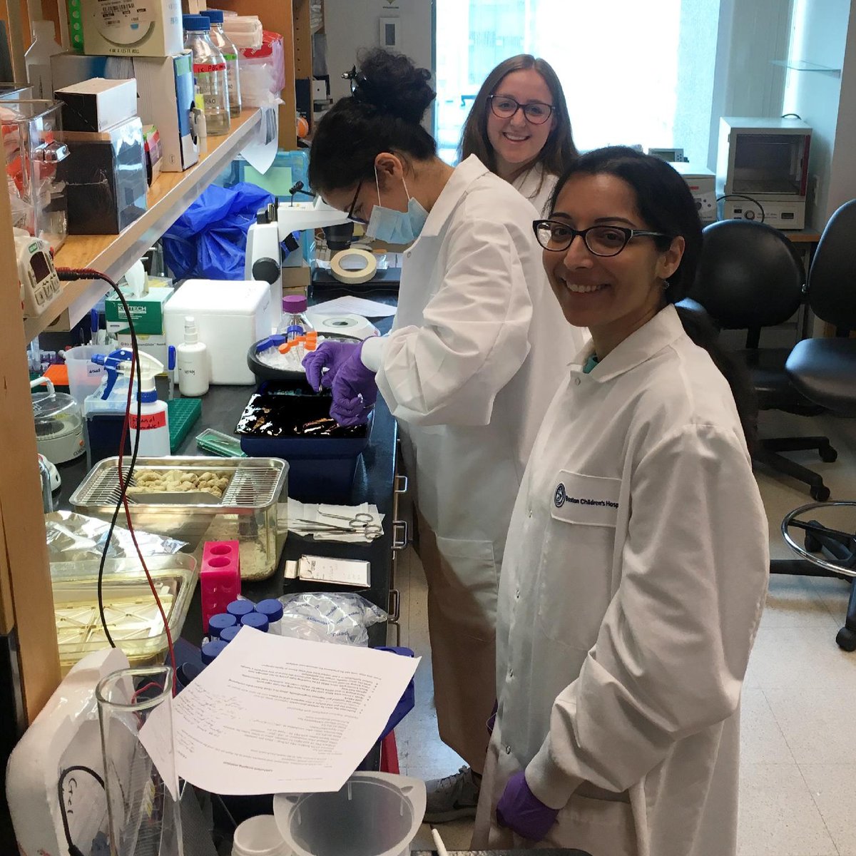 ScienceinBoston's tweet photo. #IBS and other motility disorders can be challenging to treat, with current therapies focused on easing symptoms.
Research led by Dr. Meenakshi Rao at @BostonChildrens has identified a remarkable way that gut microbes and sex hormones regulate #GutMotility: https://t.co/wQVuDPTLCG