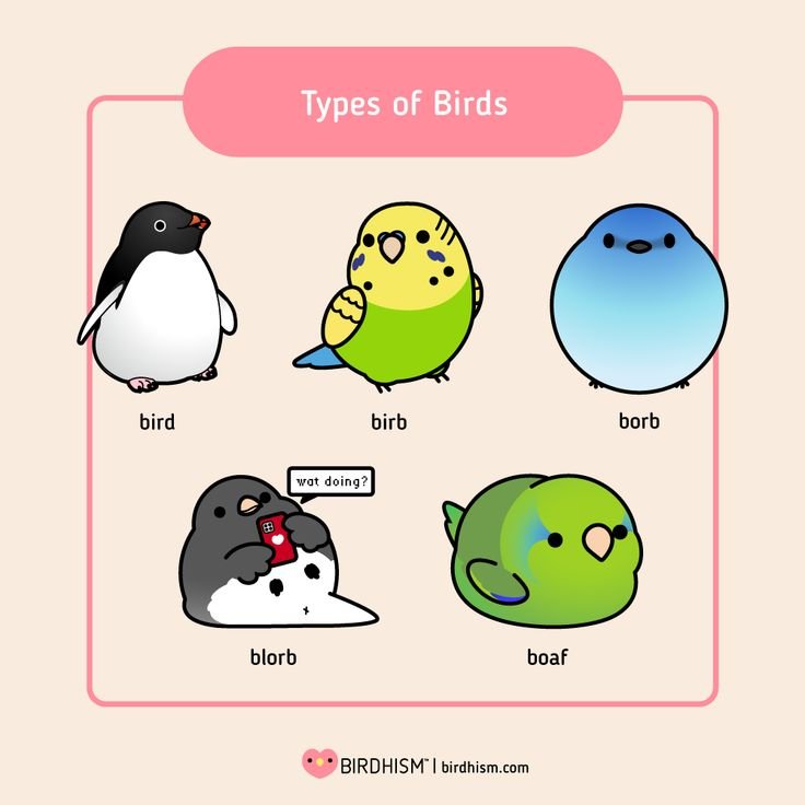 sparrowincrisis's tweet photo. my favourite is borb https://t.co/nmf7Lzw9G6