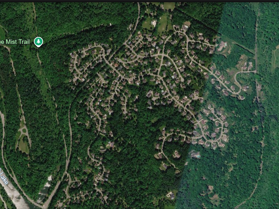 PlausibleStray's tweet photo. This is what scares Europeans...living with nature right around you https://t.co/qRDyakPKNa