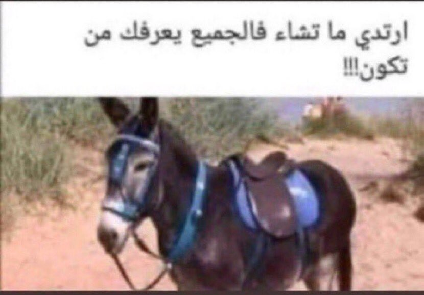 إبراهيم #القدس tweet media