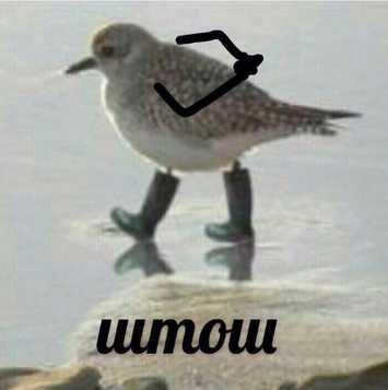 IS_anonymus's tweet photo. @_AleK0_ Тредс то заповідник, їх треба в червону книгу занести. Та я мала надію, що тут люди принаймні вміють читати. Дарма. https://t.co/iML3edq7CS