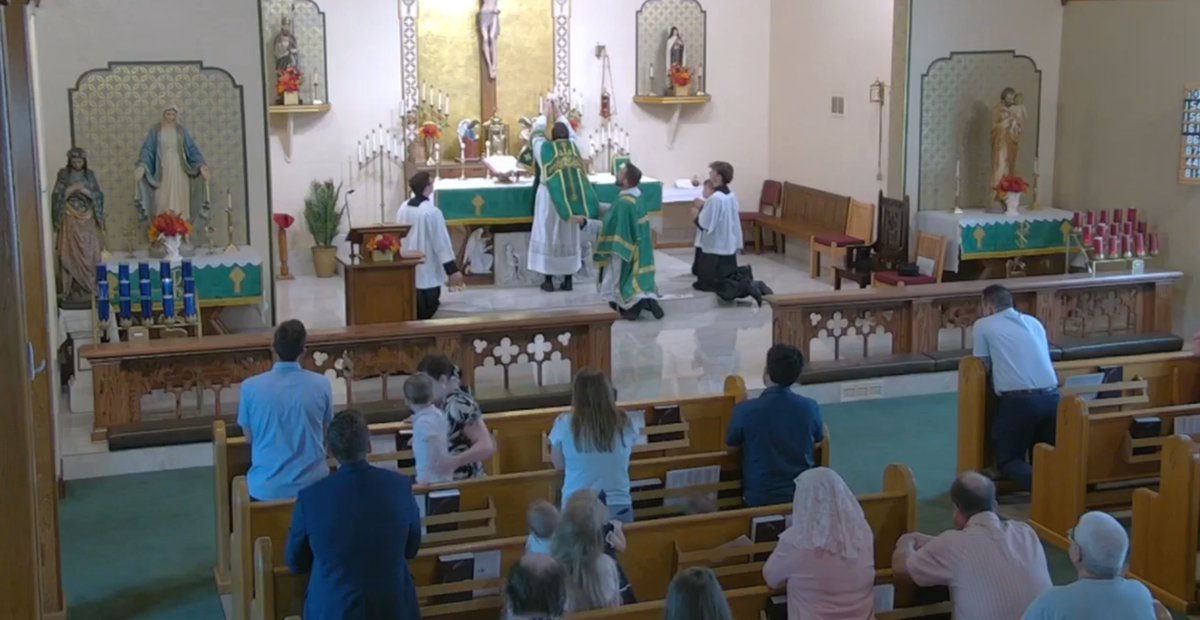 TraddyMatt's tweet photo. @SarahAnnRhoades @MaxManus73 @RaymondArroyo @Pontifex Actually, it depends on the parish, in my opinion. I belong to a traditional Novus Ordo parish, and our Masses are very reverent. This is what our Mass looks like on a normal Sunday morning... https://t.co/Rjkc65RZef
