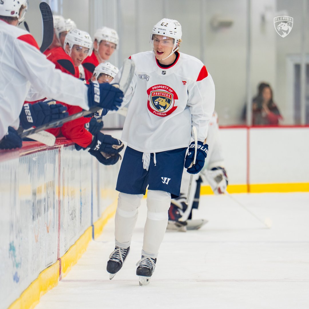 FlaPanthers's tweet photo. "It's like every child's dream, so it feels unbelievable to be [drafted here]."

@darraghfla has more on prospect Vilho Vanhatalo ⤵️