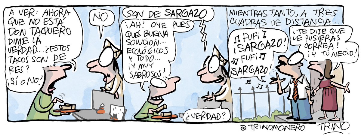 trinomonero's tweet photo. Tacos con conciencia ecológica #trinomonero https://t.co/zCcAPzUuM8