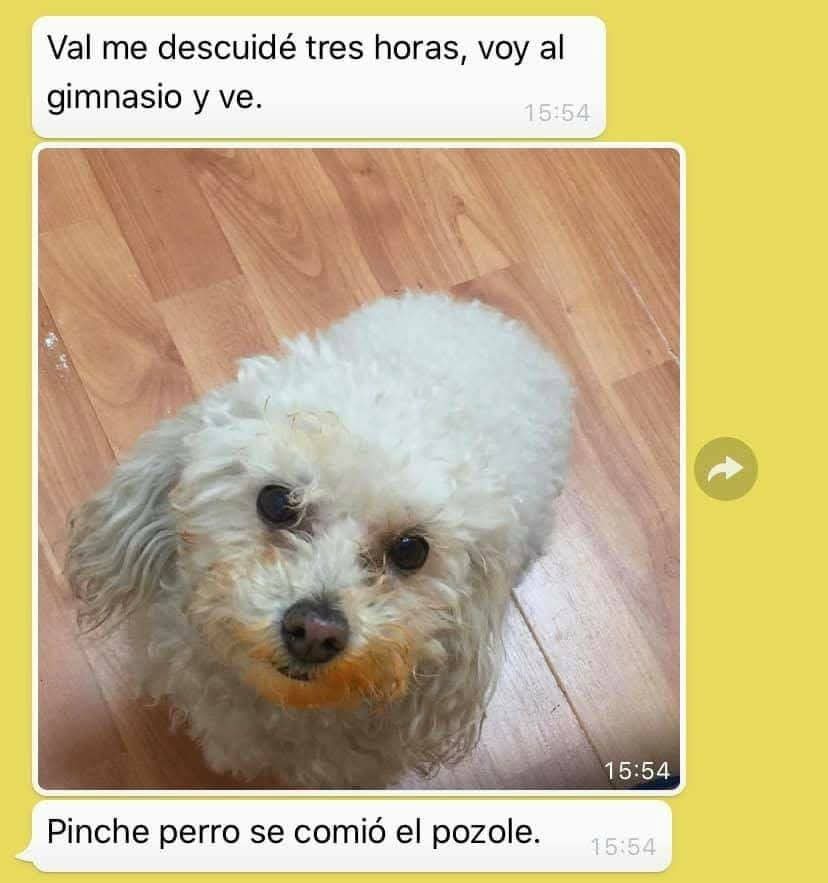 En_jupiter_'s tweet photo. JAJAJAJAJAJAJ PROVECHO https://t.co/MrKOwS1uFb