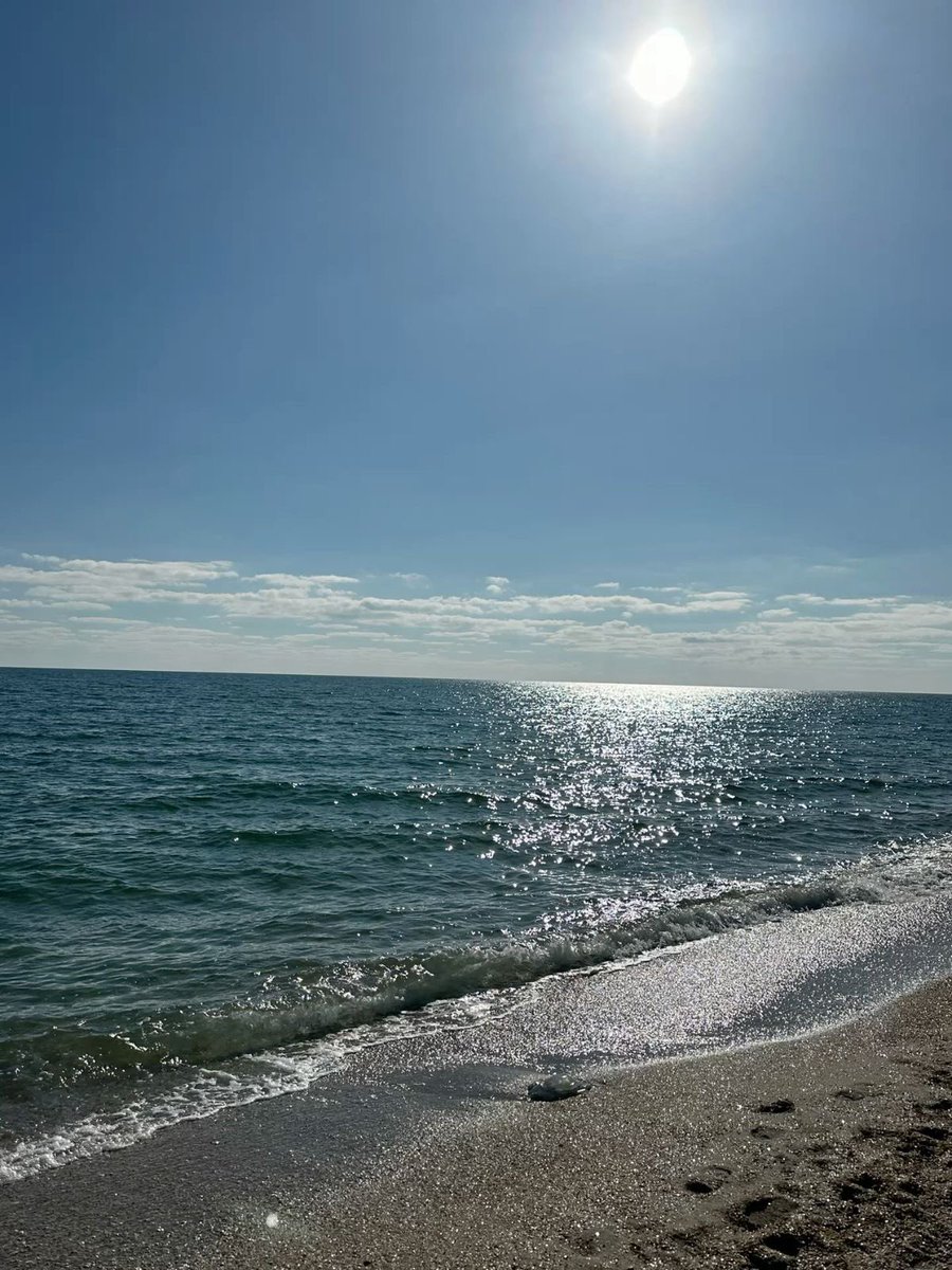 vrenbun's tweet photo. I’m visiting the beach again! What a nice day (─‿‿─)♡ https://t.co/lKTAlDsazJ