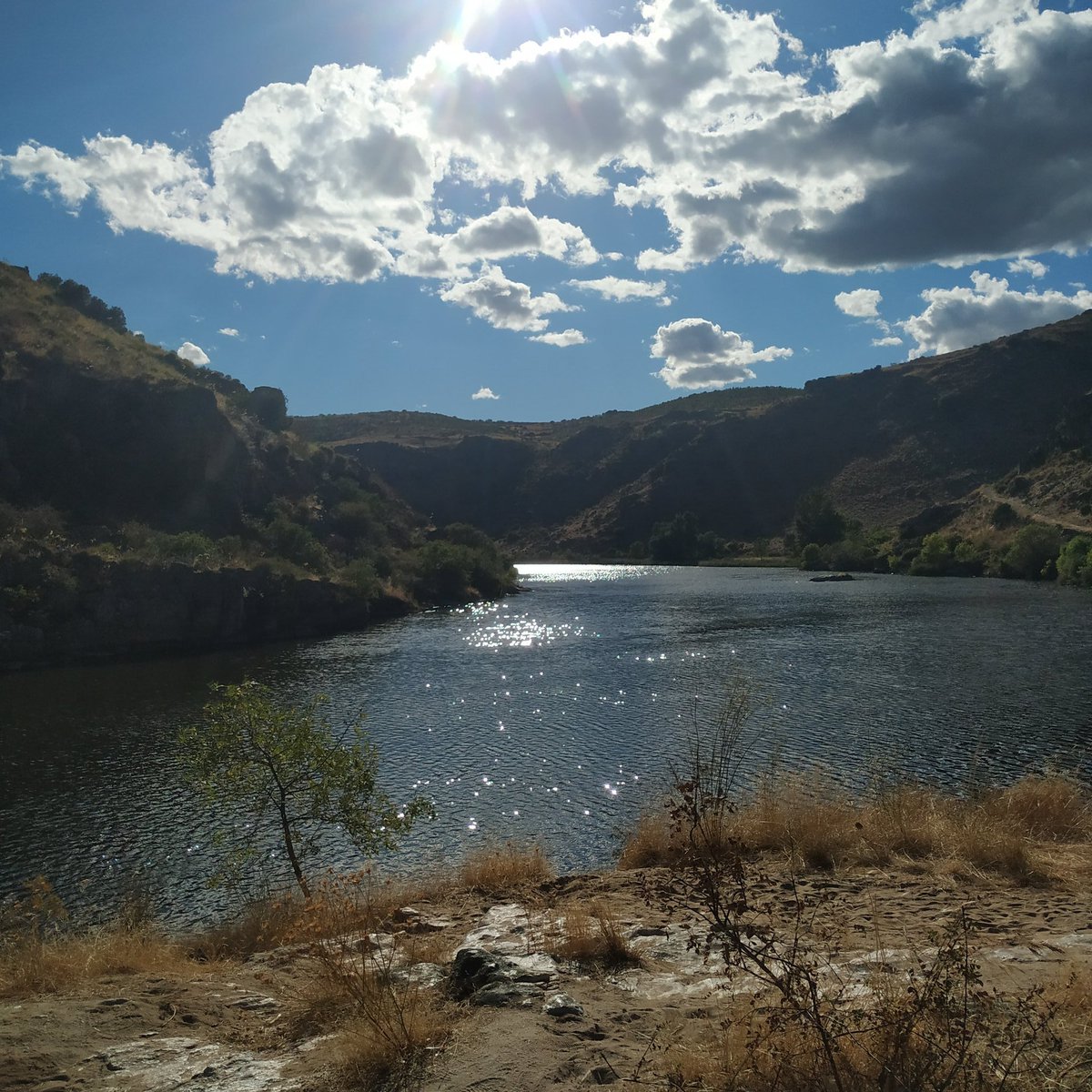 almupv's tweet photo. Hoy pienso en ti rio Duero,
en tus gentes,
en tus pueblos,
Hoy pienso en el abandono,
en el peligroso fuego,
Hoy te siento de llamas rodeado,
asfixiado,
sin fuerzas para ir a la mar en el pais hermano,
Tus paisajes encajonados han pasado a quemados y las tierras a cenizas Rio D💔 https://t.co/QltHEHW71D