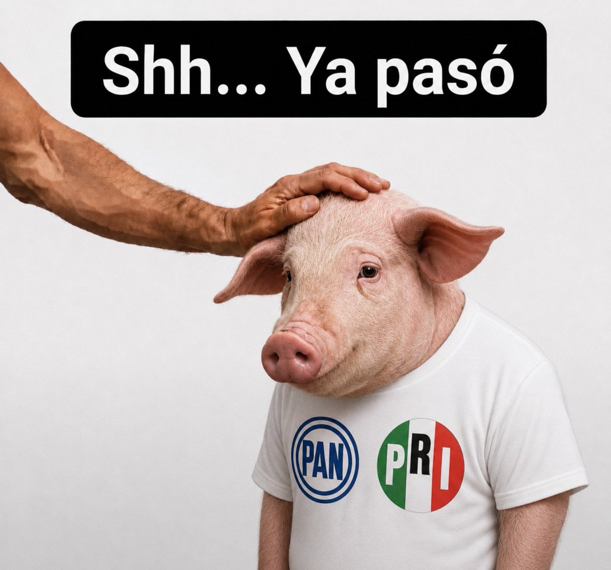BETOCO74's tweet photo. @MLopezSanMartin https://t.co/fsN3SVgk8S