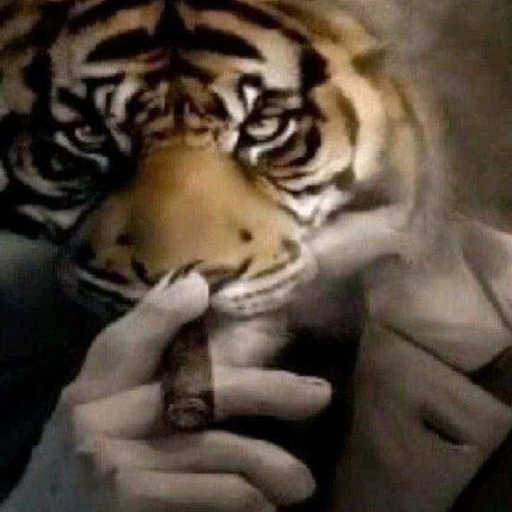 jayliaxo's tweet photo. how it feels to harm myself for fun instead of cope (that went out the window a year ago) #shtwt #shedrtwt https://t.co/rZE2jP2jCF
