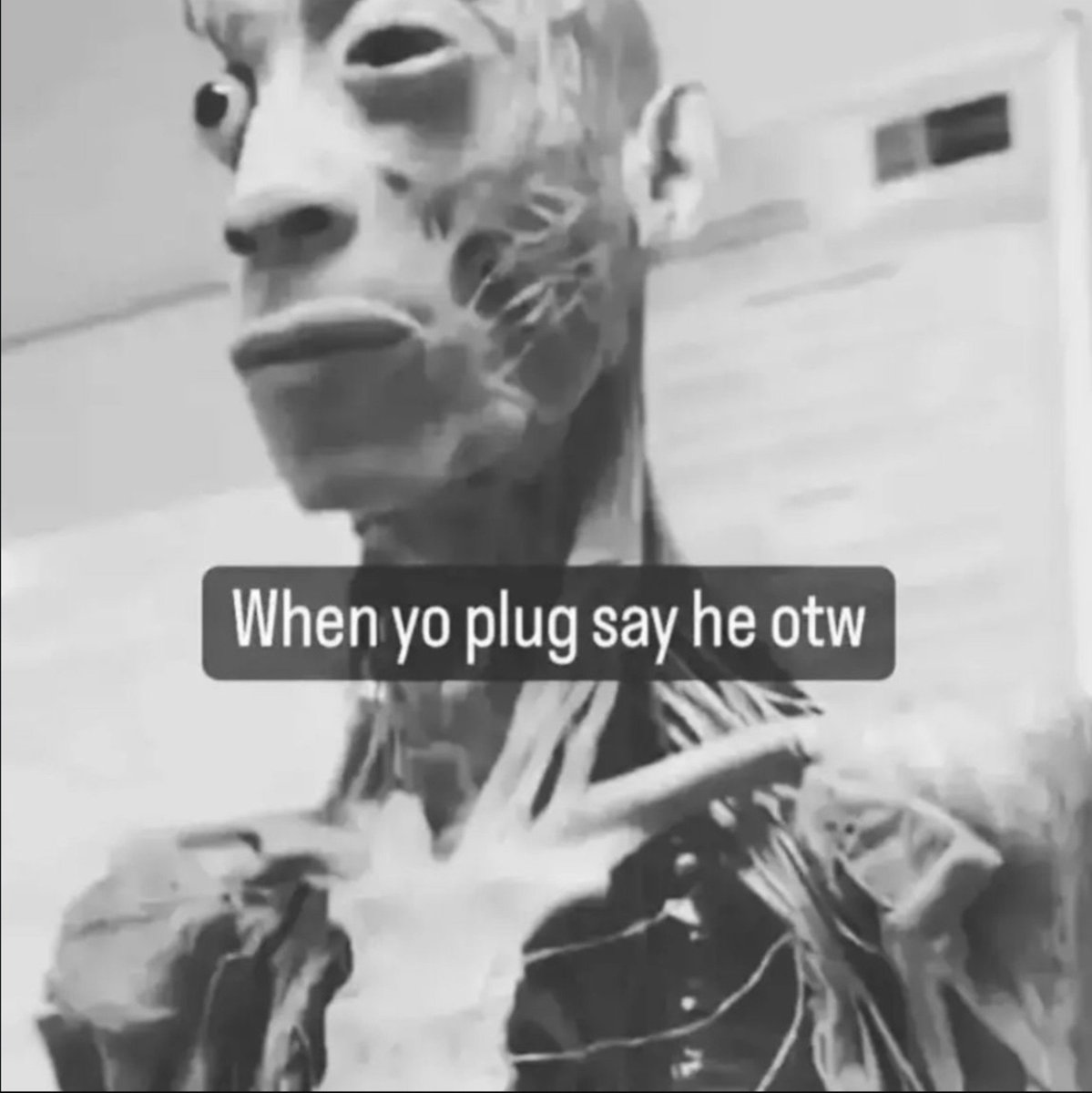 BrendanDaGawd's tweet photo. https://t.co/RiKTv4SRCp